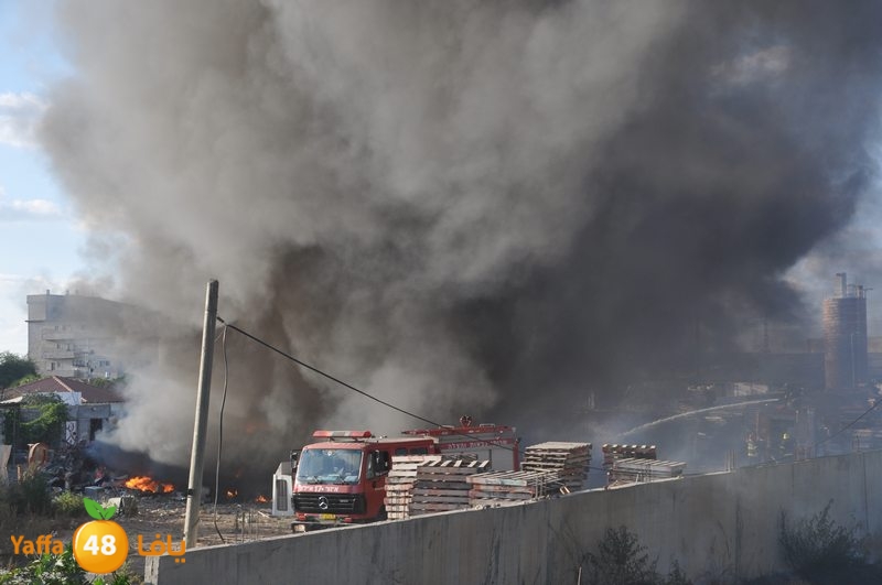 fire kargalsaj (2).JPG